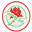 Adamstown Rosebuds