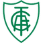 Home Team