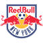 Home Team