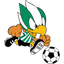 Home Team