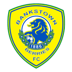 Canterbury Bankstown logo