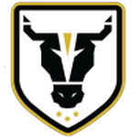 Bulls Academy logo