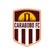 Home Team