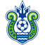 Home Team