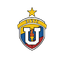 Home Team