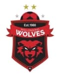 Wollongong Wolves logo