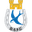 Dungannon Swifts