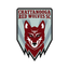 Home Team