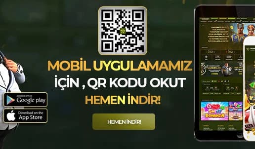 Lisans, Mobil Erişim ve Destek